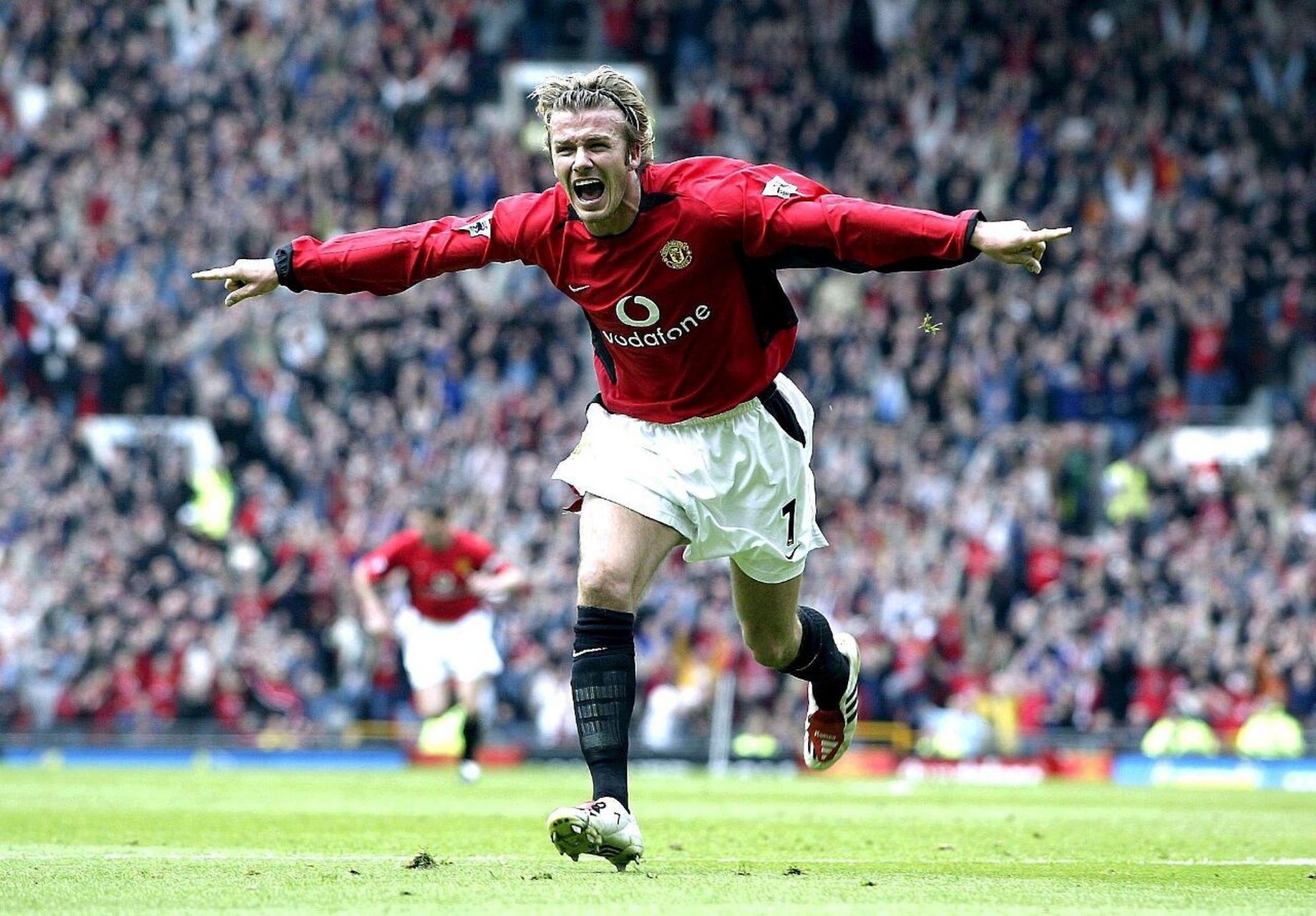 展现出色的 展现出色的